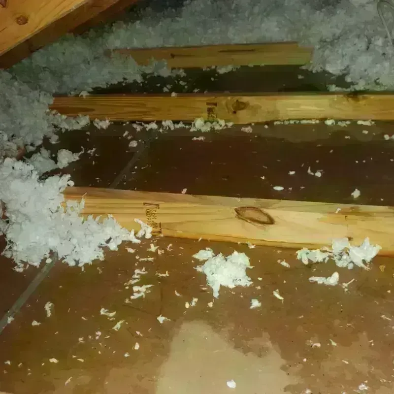 Attic Water Damage in Cross Mountain, TX