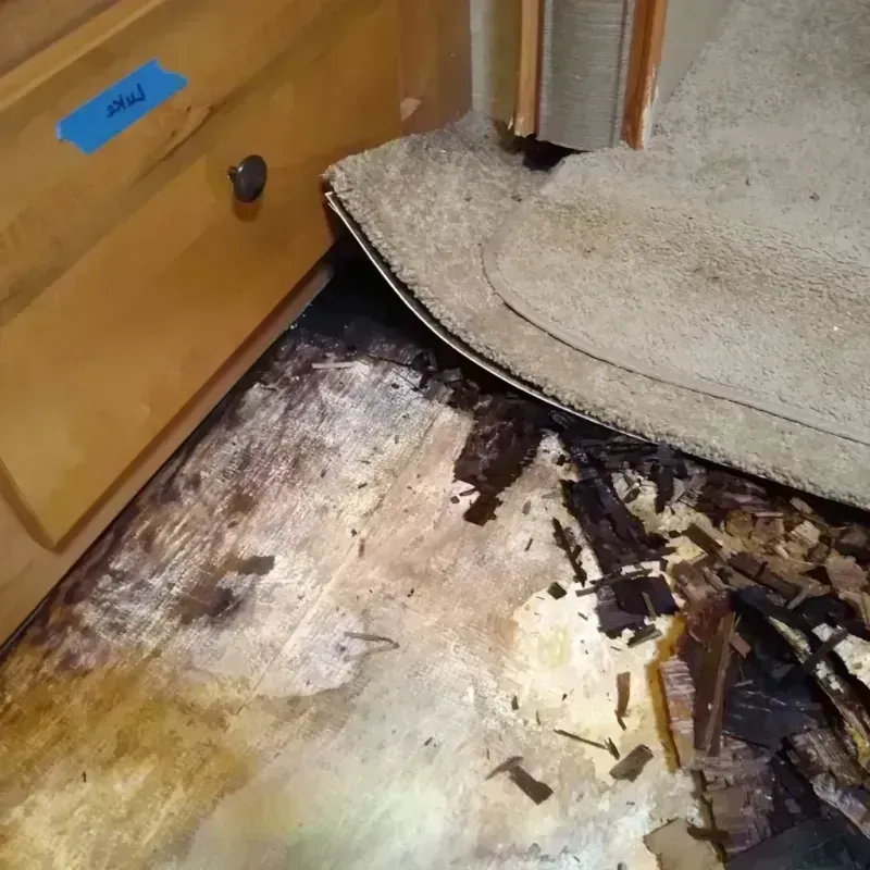 Wood Floor Water Damage in Cross Mountain, TX